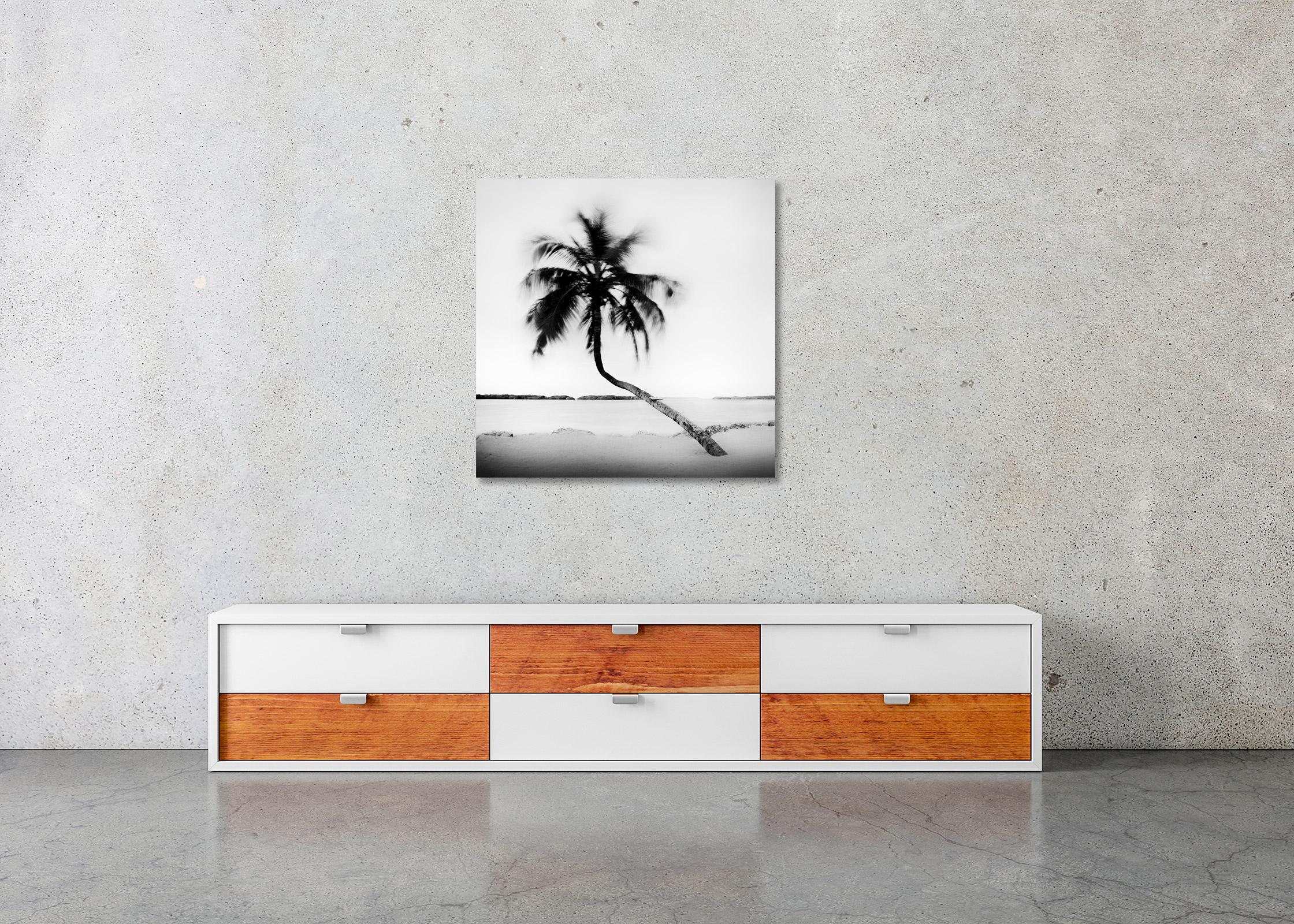 Bent Palm, Beach, Florida, USA, Schwarz-Weiß-Fotografie, Landschaft im Angebot 2