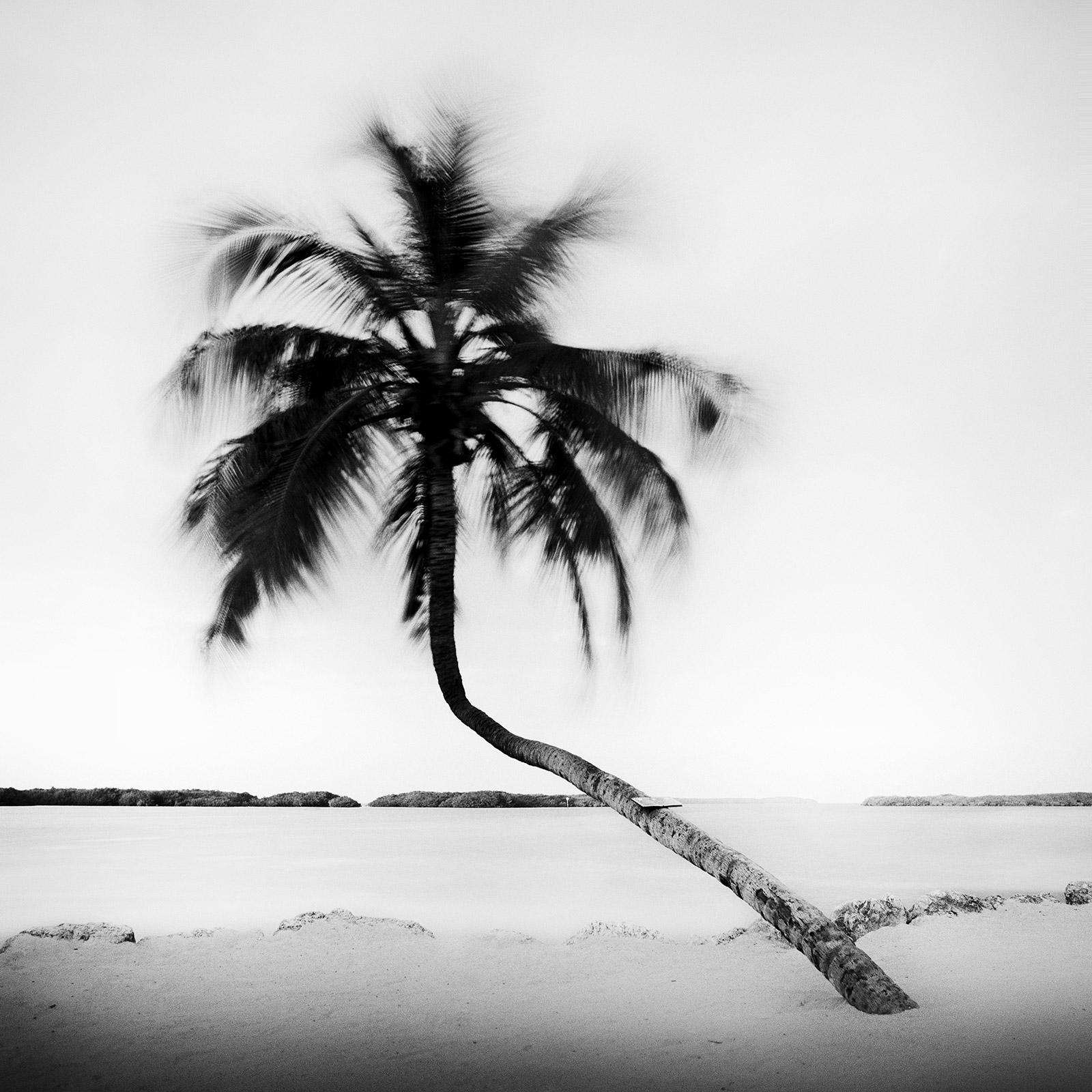 Gerald Berghammer, Ina Forstinger Black and White Photograph - Bent Palm, Beach, Florida, USA, black and white fine art photography, landscape