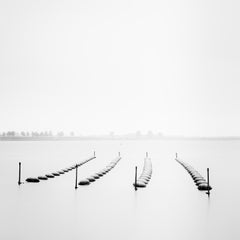 Buoys and Gulls, Netherlands, minimalist black and white landscape photography
