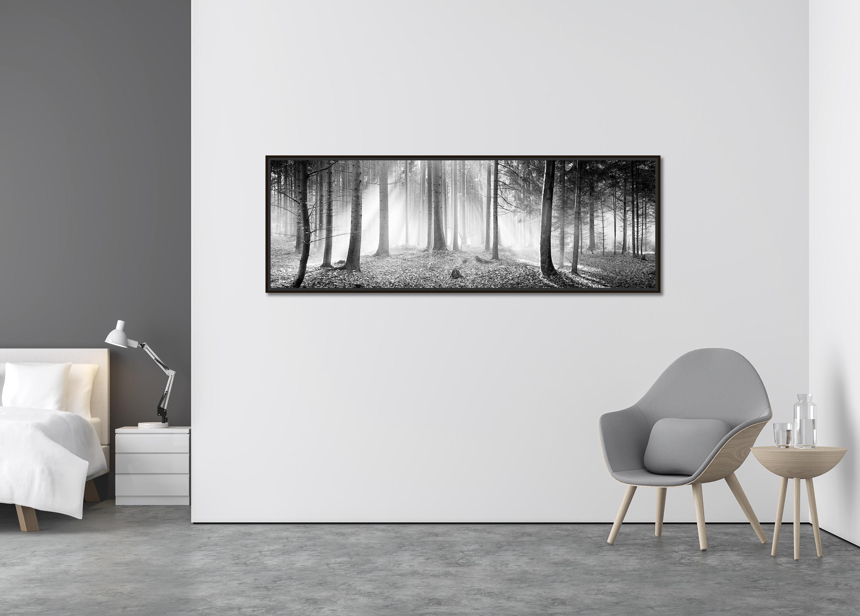 enchanted forest black and white