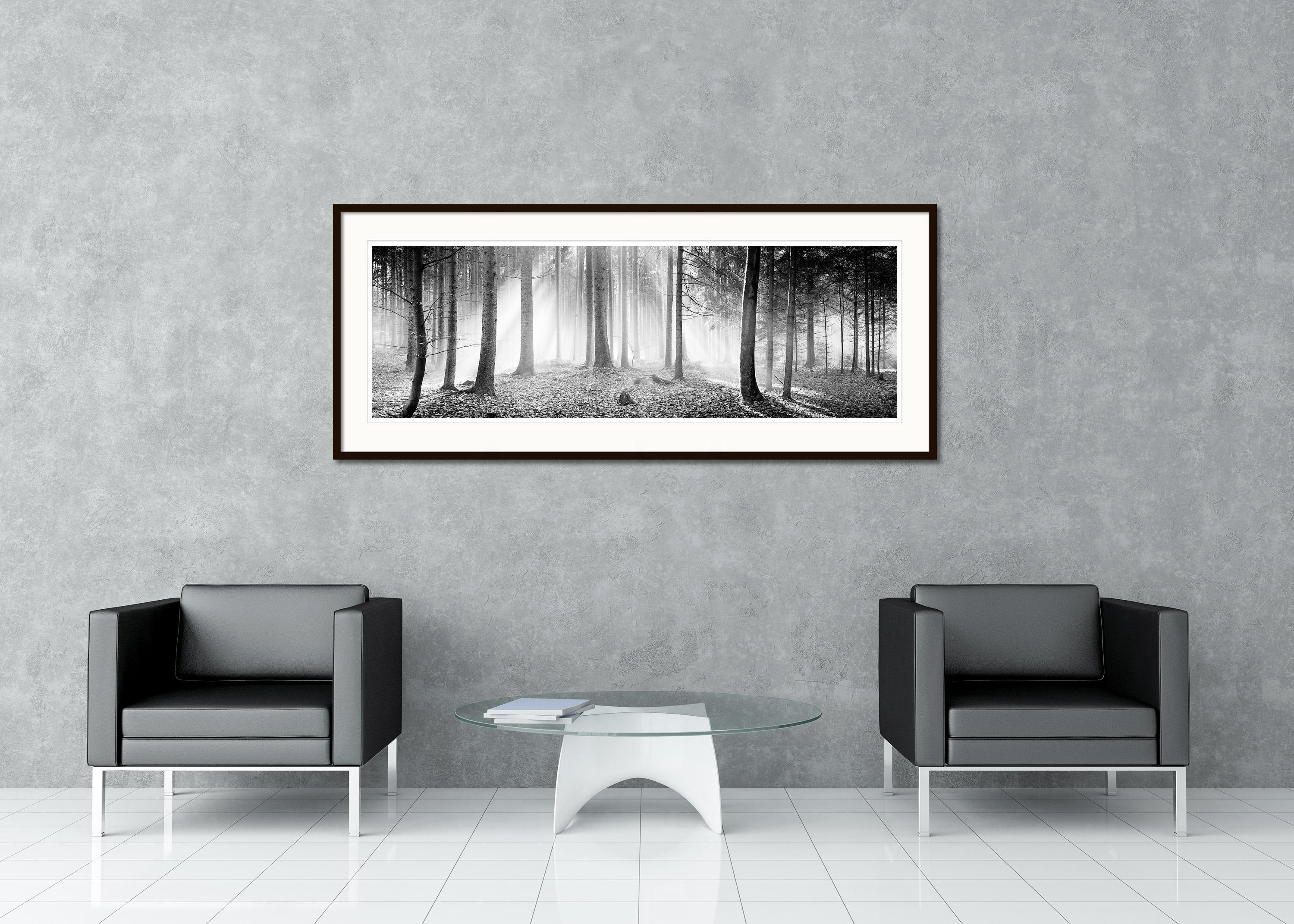 Black and white fine art panorama landscape photography. Archival pigment ink print, limited edition of 15. All Gerald Berghammer prints are made to order in limited editions on Hahnemuehle Photo Rag Baryta. Each print is stamped on the back and
