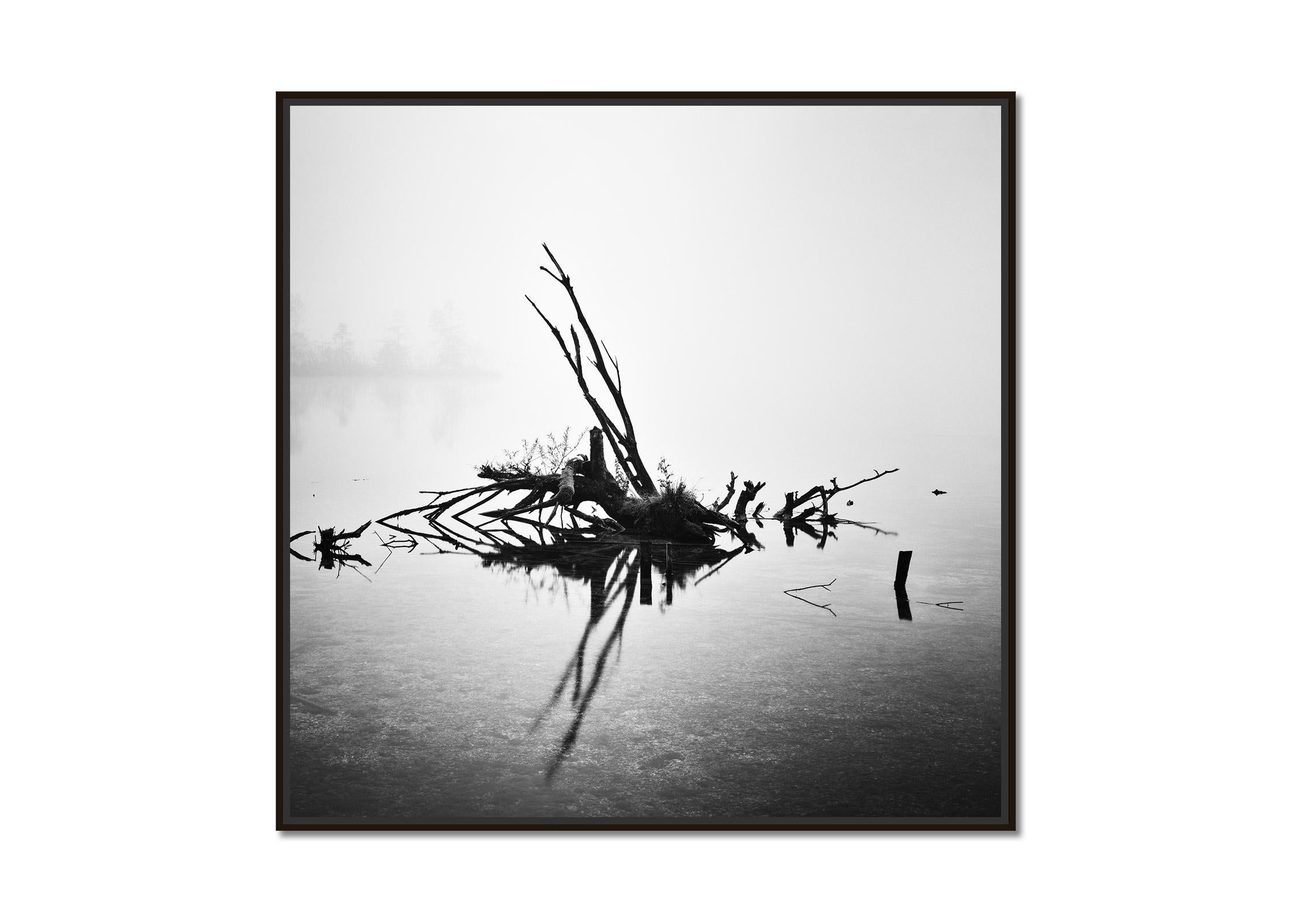 Fallen Tree, Almsee, Austria, black and white photography, fine art landscape - Photograph by Gerald Berghammer, Ina Forstinger