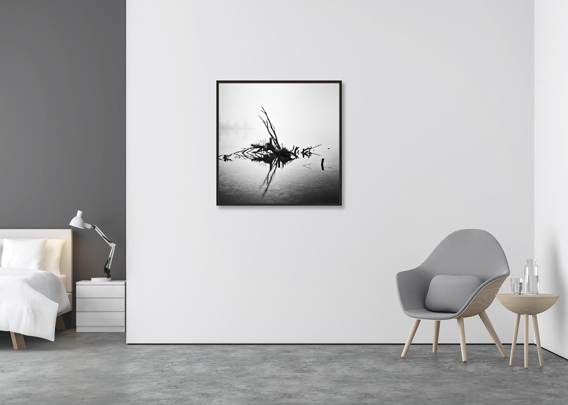 Fallen Tree, Almsee, Österreich, Schwarz-Weiß-Fotografie, Kunstlandschaft (Zeitgenössisch), Photograph, von Gerald Berghammer, Ina Forstinger