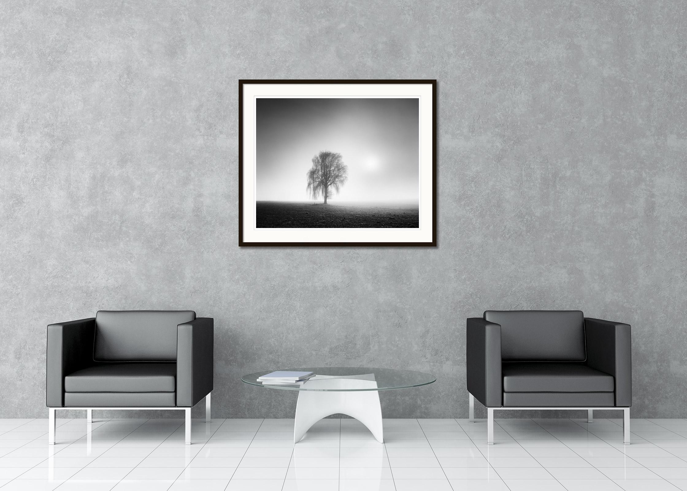 Foggy Morning, single Tree, Austria,  black and white landscape art photography - Gray Black and White Photograph by Gerald Berghammer, Ina Forstinger