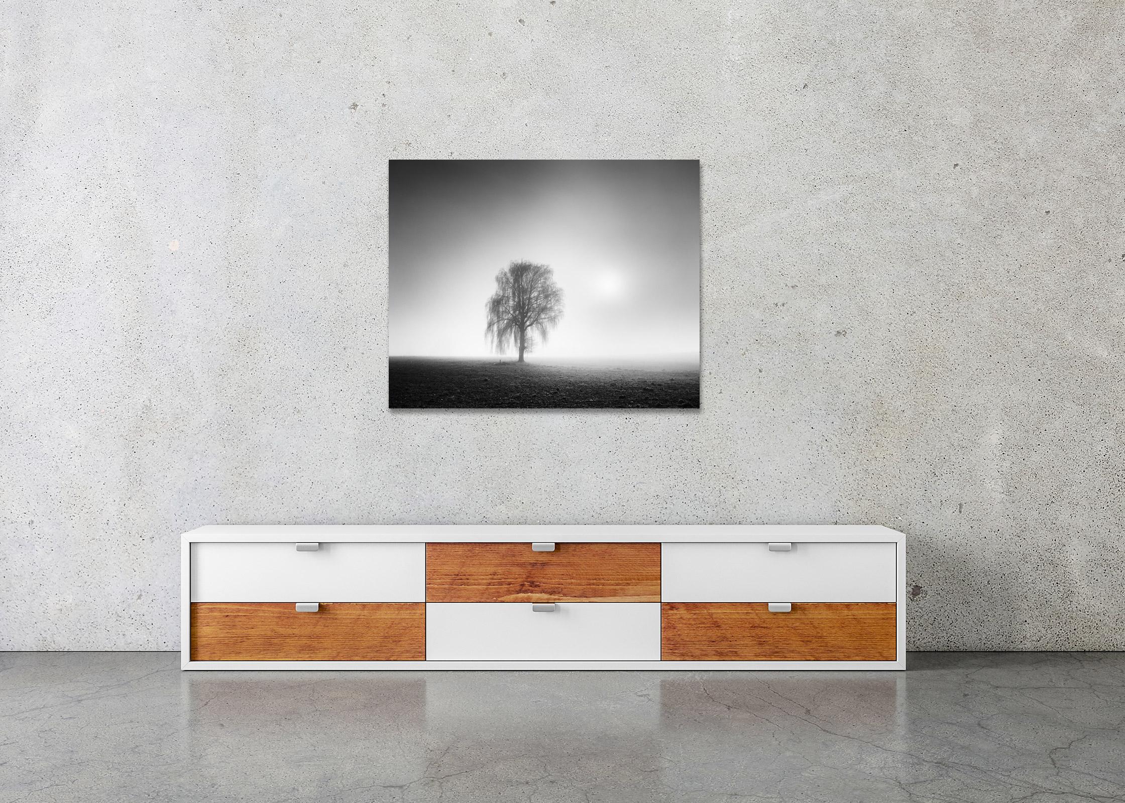 Foggy Morning, ein einzelner Baum, Österreich  Schwarz-Weiß-Landschaftsfotografie im Angebot 2