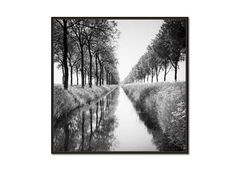 Gracht, Tree Avenue,  Netherlands, black and white photography, landscape - Photograph by Gerald Berghammer, Ina Forstinger