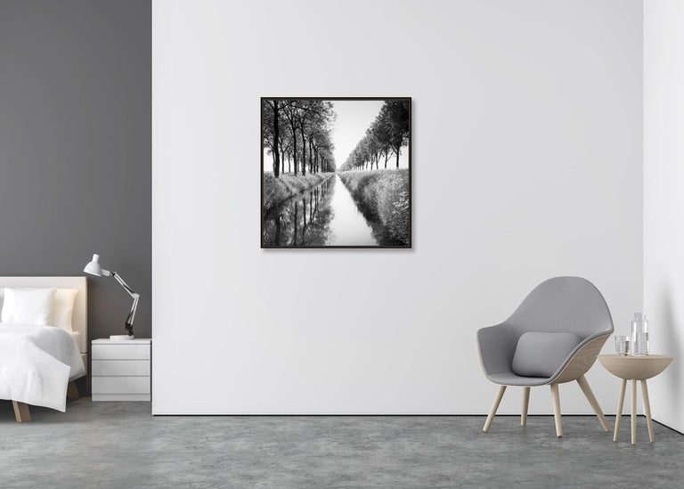 Gracht, Tree Avenue,  Netherlands, black and white photography, landscape - Contemporary Photograph by Gerald Berghammer, Ina Forstinger