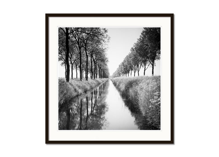 Gracht, Tree Avenue,  Netherlands, black and white photography, landscape - Black Black and White Photograph by Gerald Berghammer, Ina Forstinger