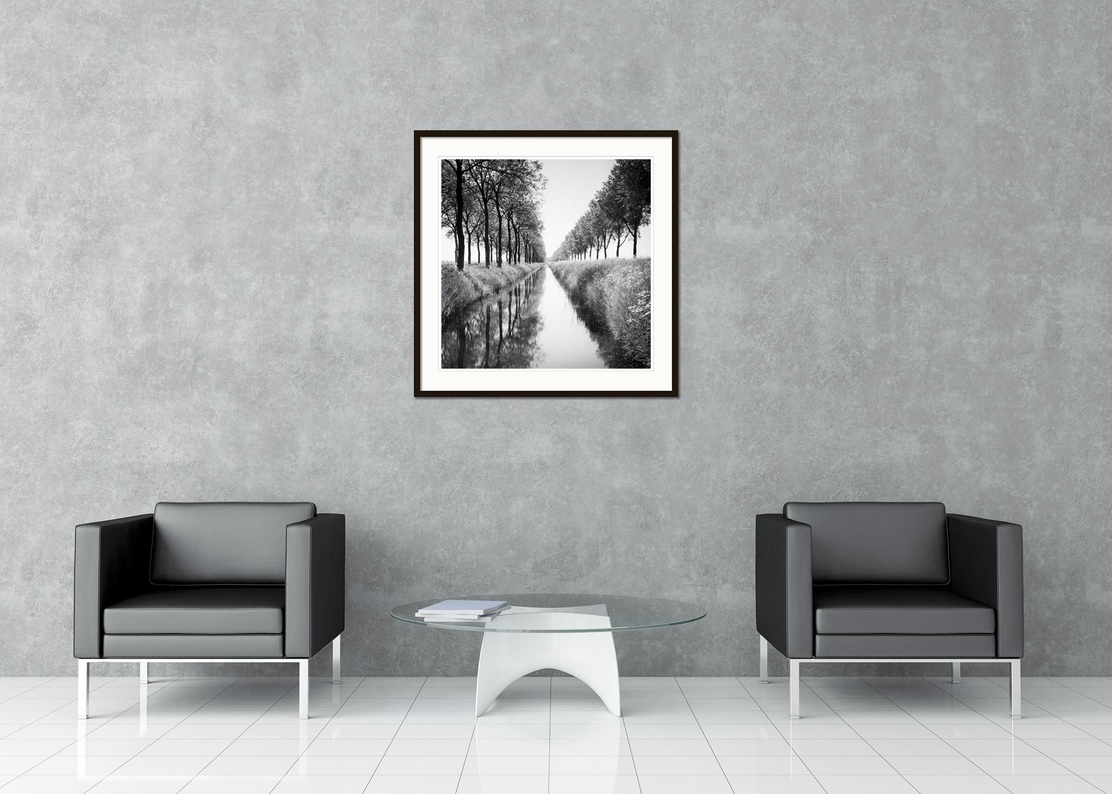 Gracht, Tree Avenue,  Netherlands, black and white photography, landscape - Contemporary Photograph by Gerald Berghammer, Ina Forstinger