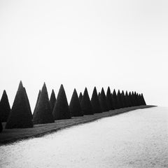 Hedges, Versailles, Paris, France, black and white art photography, landscape