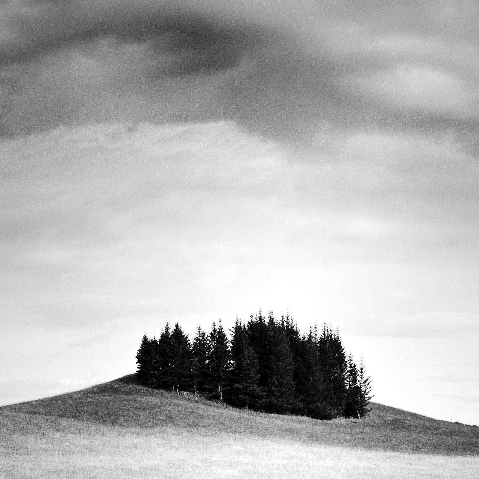 Little Green Island, Iceland black and white landscape, photography, fine art  For Sale 2