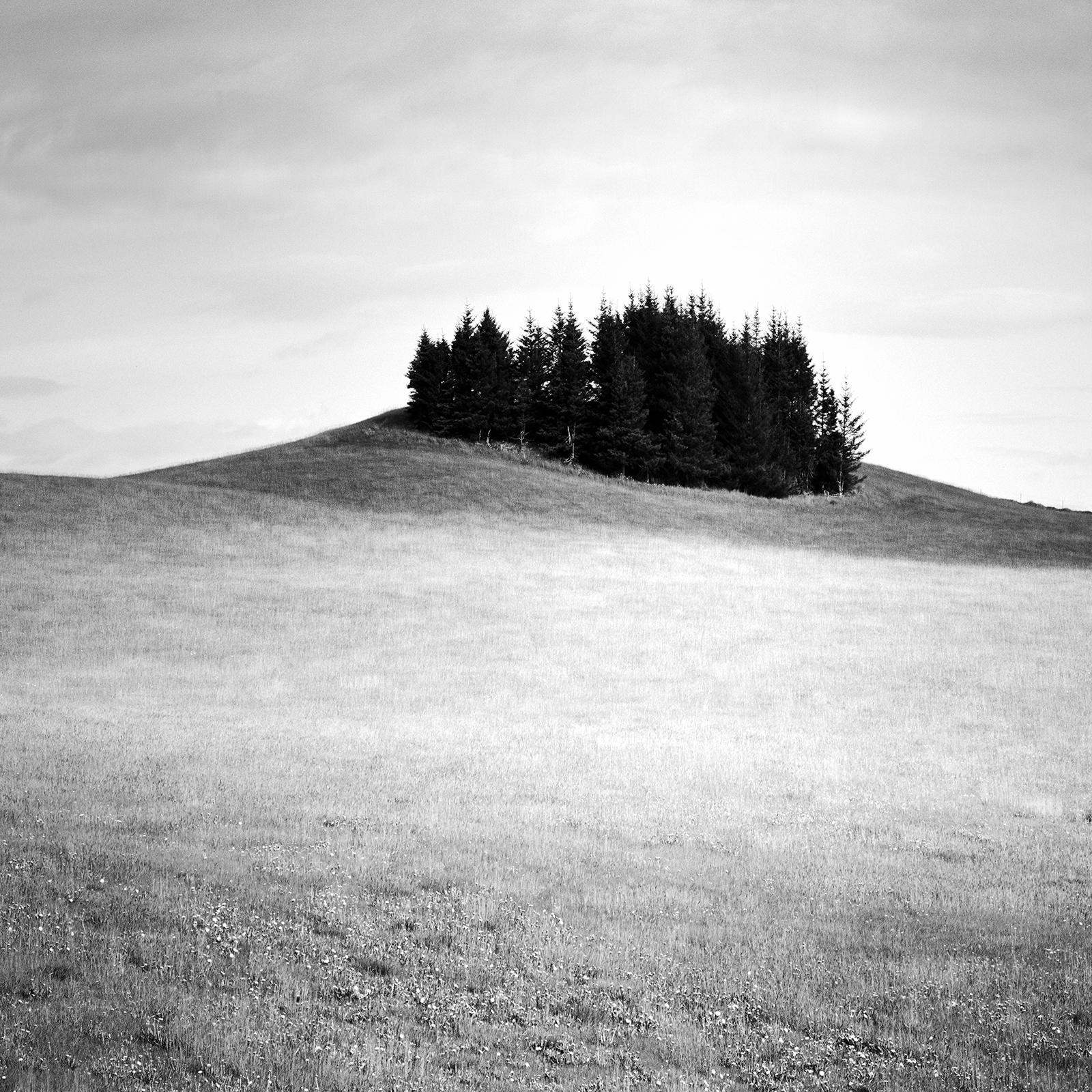 Little Green Island, Iceland black and white landscape, photography, fine art  For Sale 3