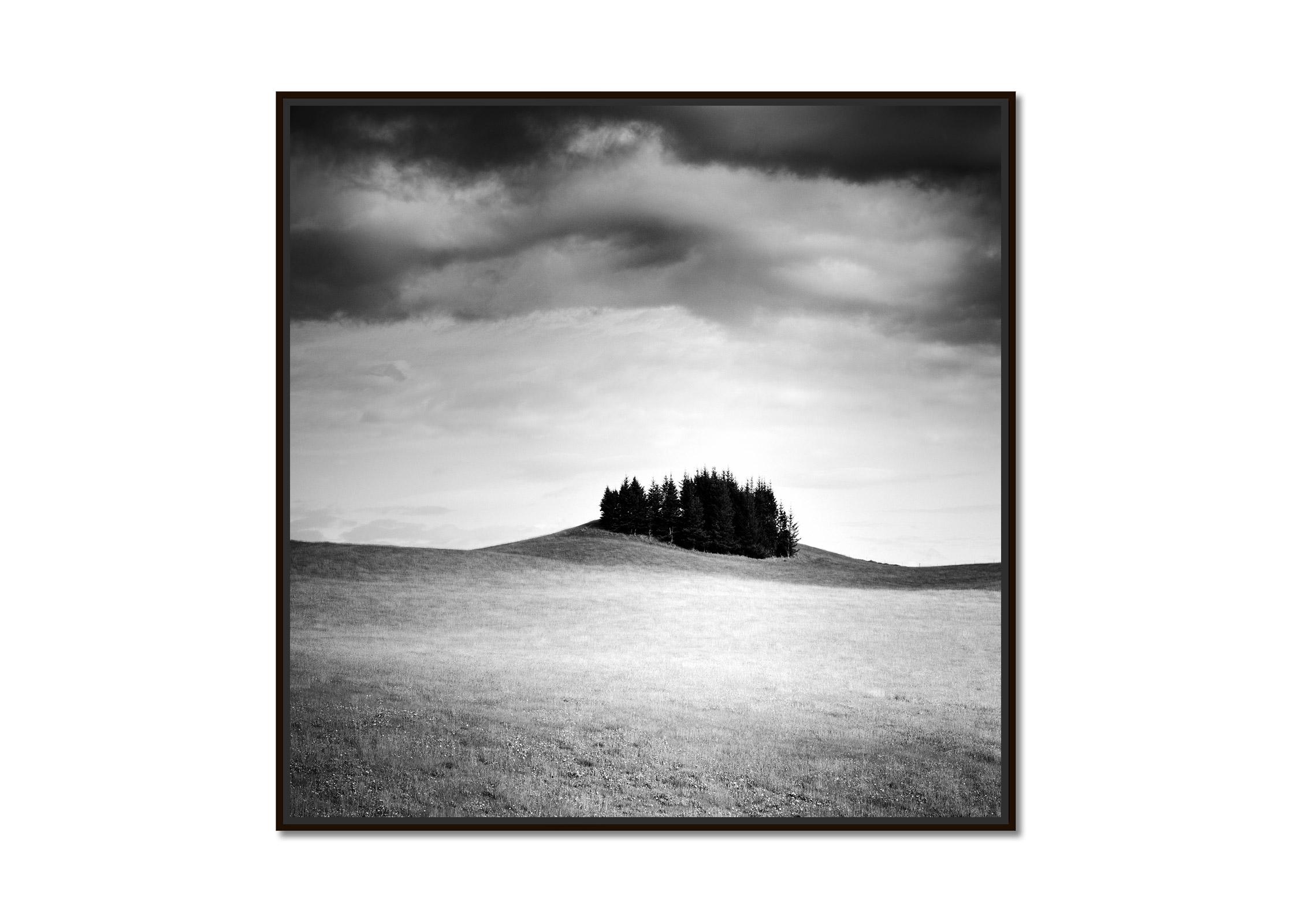 Little Green Island, Iceland black and white landscape, photography, fine art  - Photograph by Gerald Berghammer, Ina Forstinger