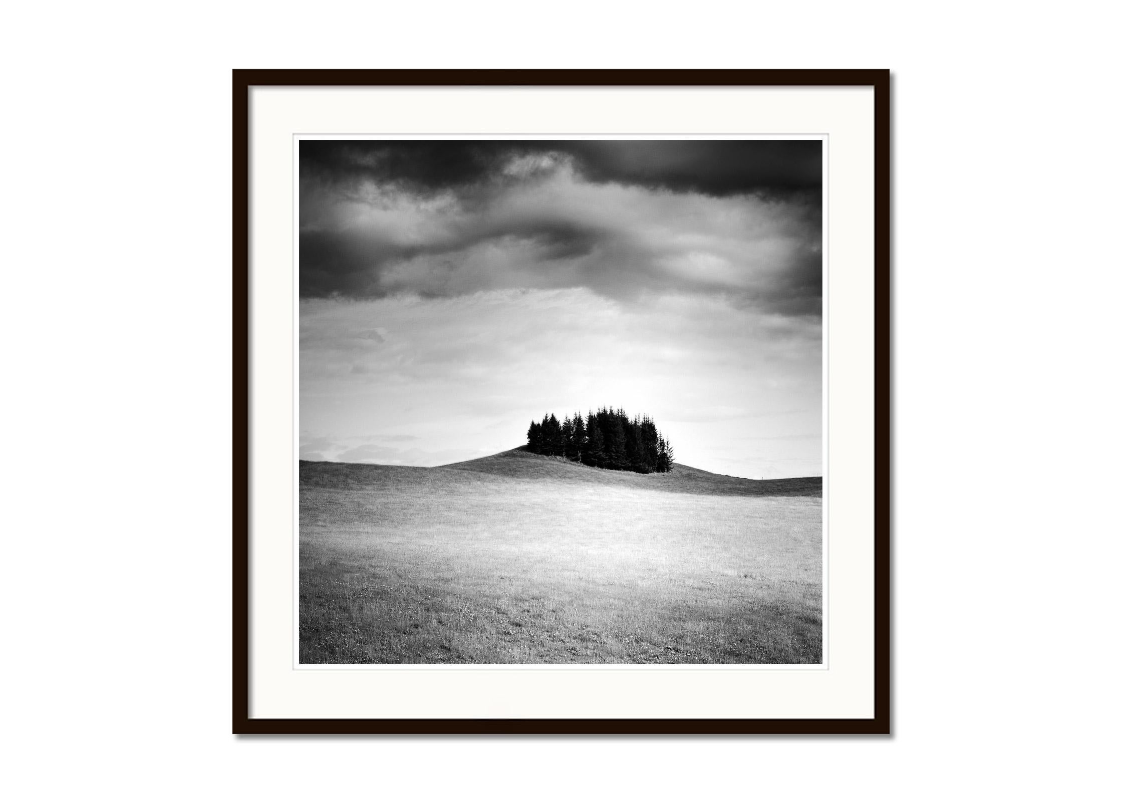 Little Green Island, Iceland black and white landscape, photography, fine art  - Contemporary Photograph by Gerald Berghammer, Ina Forstinger
