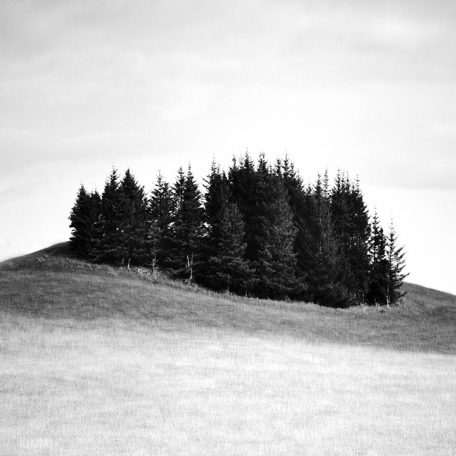 Little Green Island, Schwarz-Weiß-Landschaftsfotografie, limitiert im Angebot 5