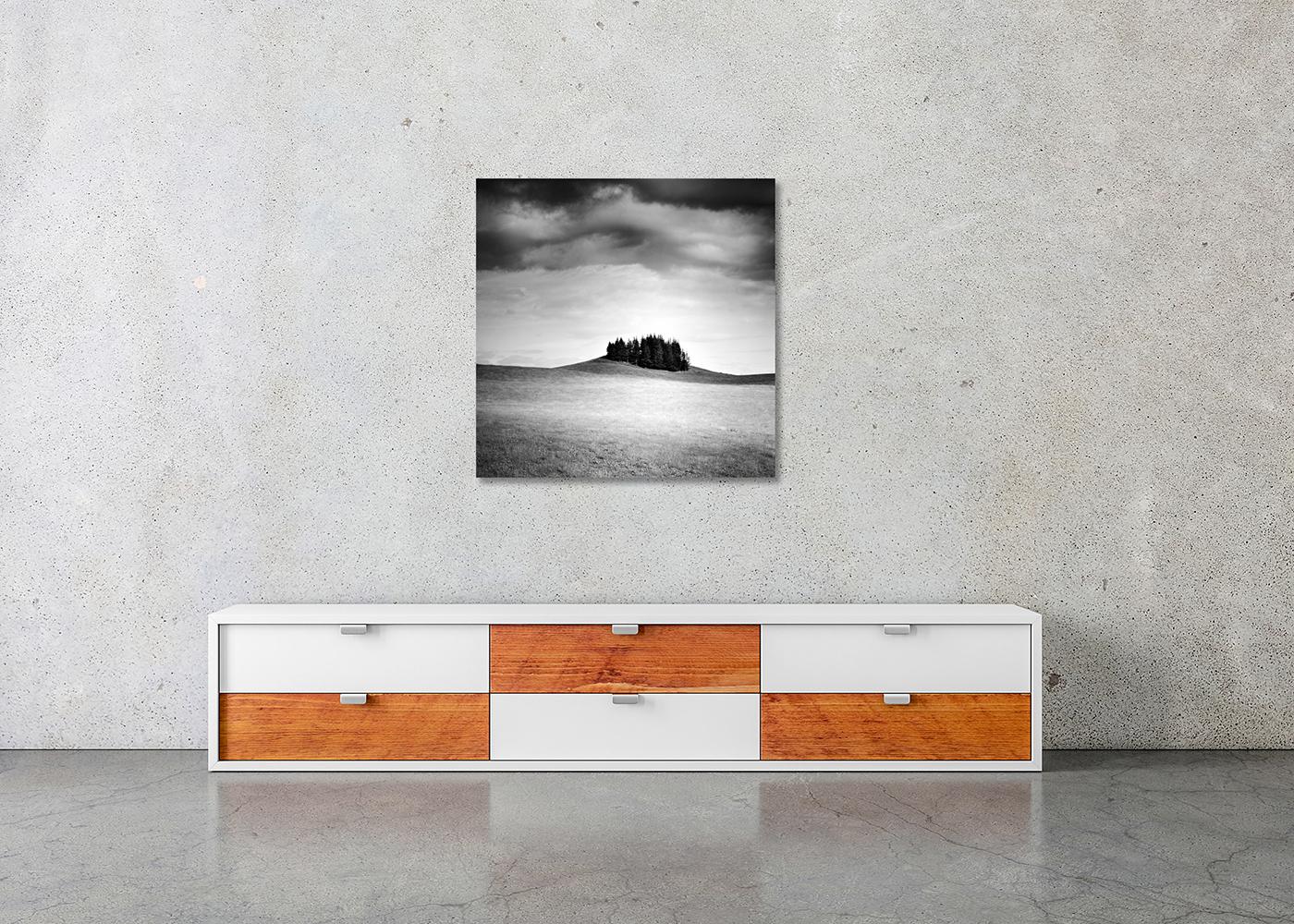 Little Green Island, Schwarz-Weiß-Landschaftsfotografie, limitiert im Angebot 2