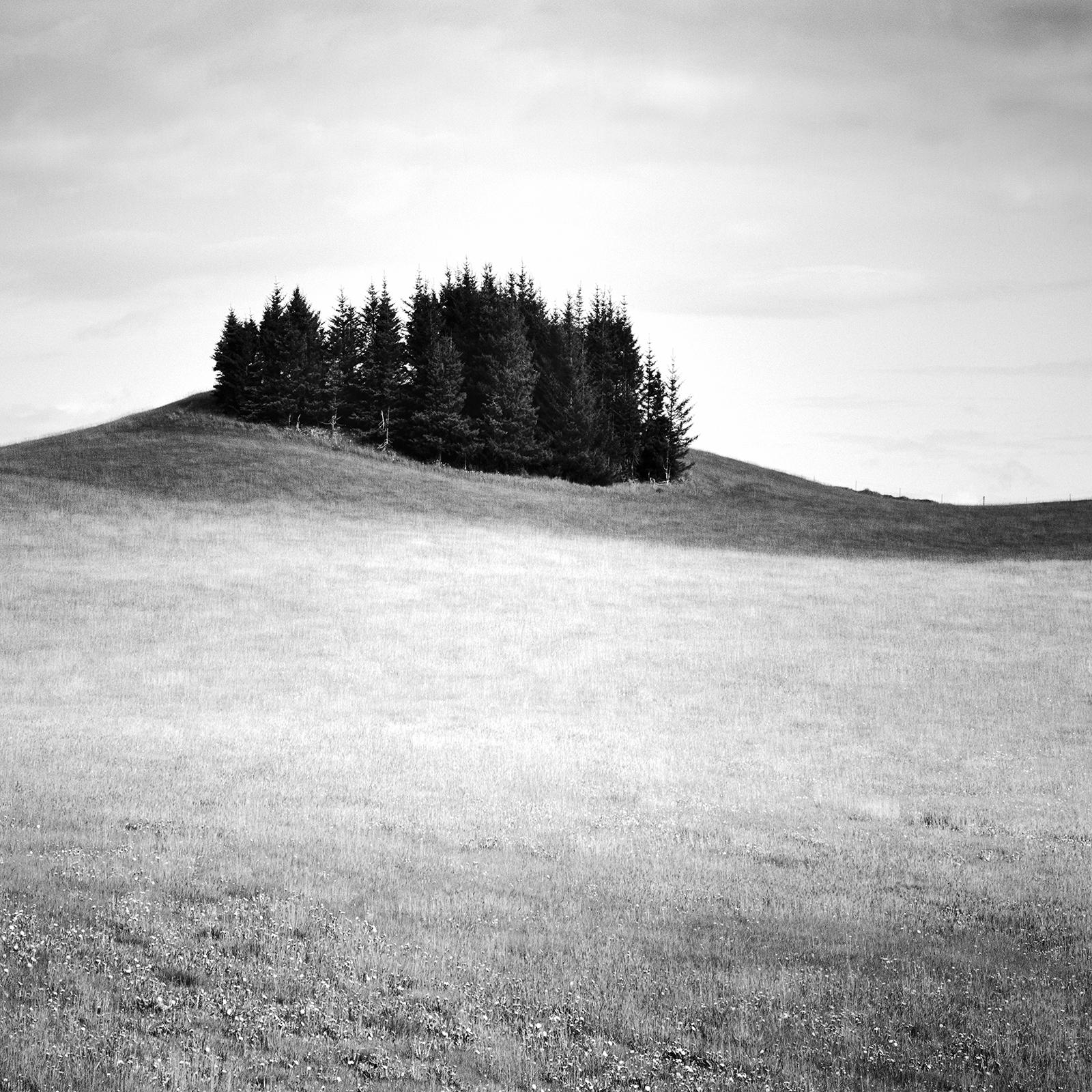 Little Green Island, Schwarz-Weiß-Landschaftsfotografie, limitiert im Angebot 3
