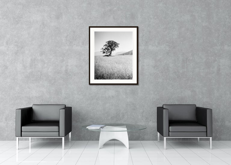 SILVERFINEART - Black and white landscape photography. Limited edition of 15. Produced from the original 4x5 inch large format black and white negative film and printed as archival pigment ink print on fine art paper. Hand signed, titled, negative