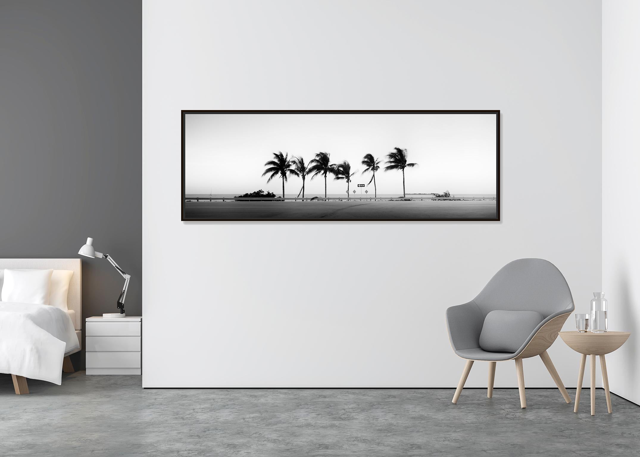 black and white panoramic photography