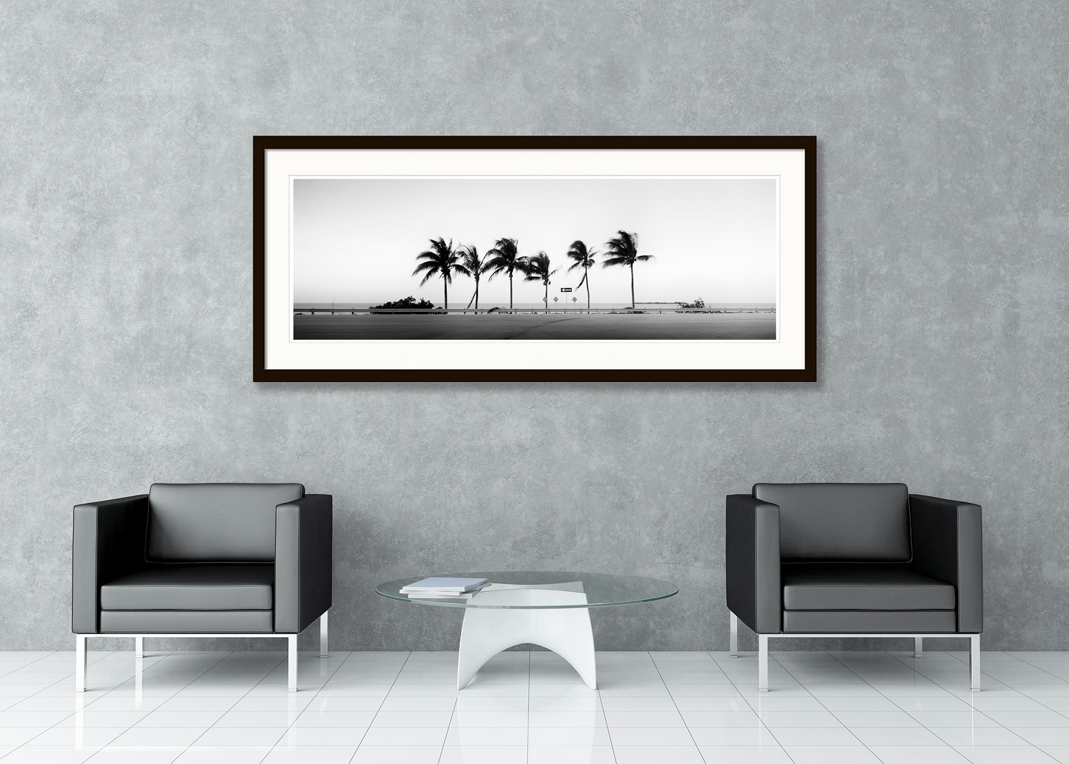 panoramic black and white prints