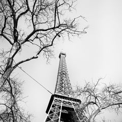 Pigeon and the Eiffel Tower, Paris, France, black & white photography, landscape