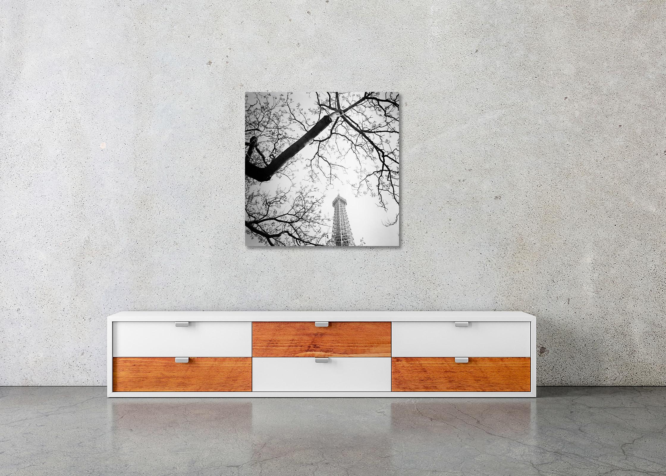 Tree, Eiffel Tower, Paris, France, black and white photography, landscape - Contemporary Photograph by Gerald Berghammer, Ina Forstinger