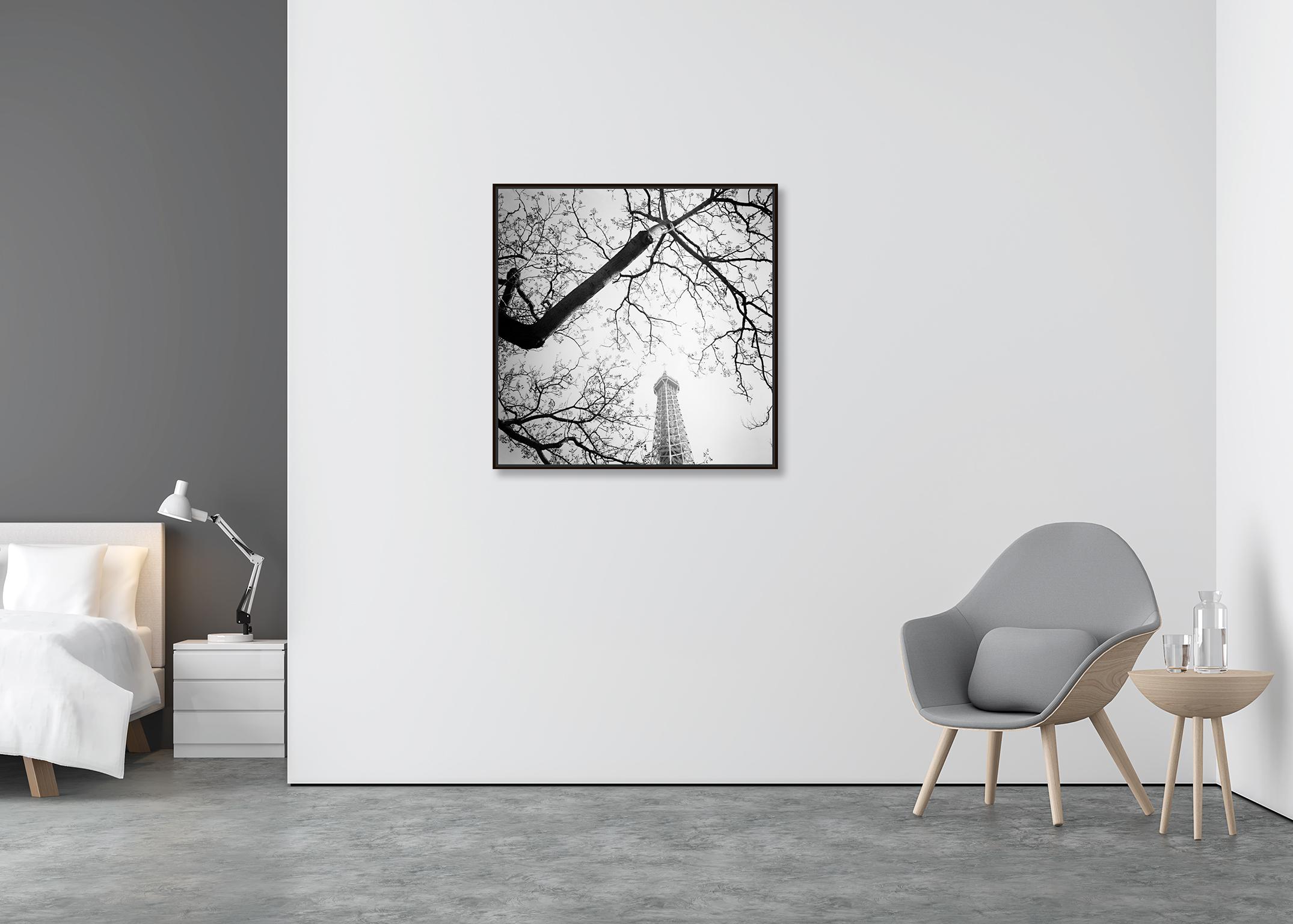 Baum und der Turm, Paris, Frankreich, Schwarz-Weiß-Kunstfotografie, Landschaft (Zeitgenössisch), Photograph, von Gerald Berghammer, Ina Forstinger