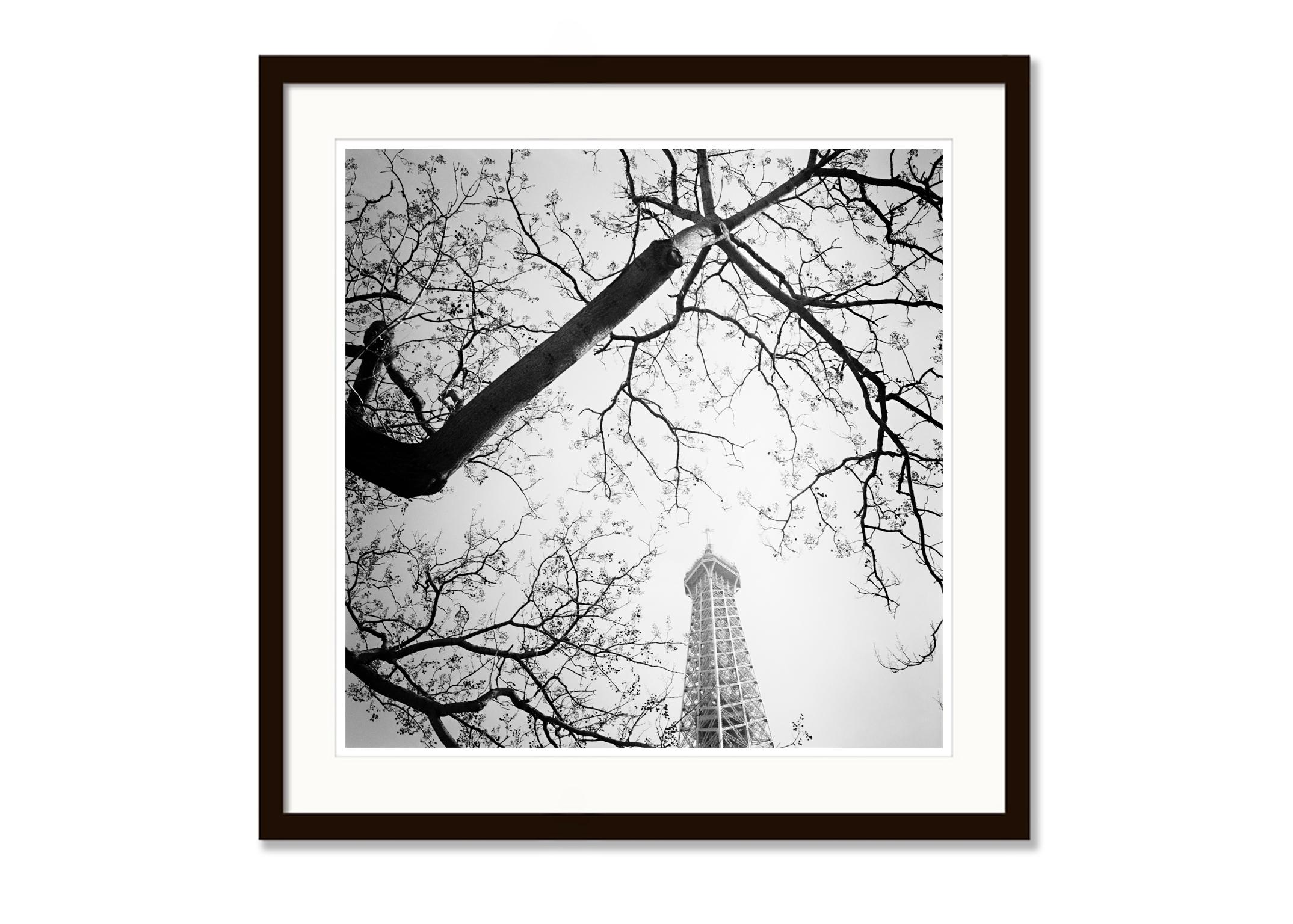 Baum und der Turm, Paris, Frankreich, Schwarz-Weiß-Kunstfotografie, Landschaft (Grau), Landscape Photograph, von Gerald Berghammer, Ina Forstinger