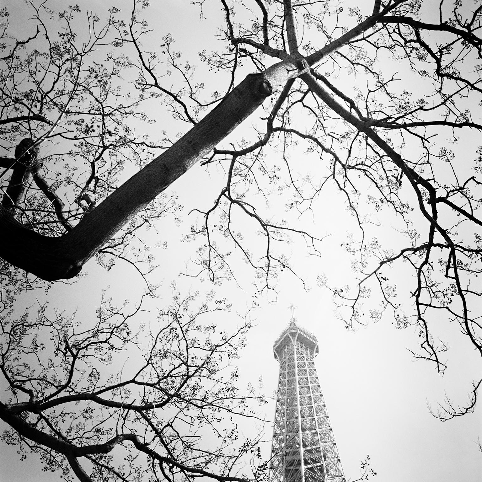 Gerald Berghammer, Ina Forstinger Landscape Photograph – Baum und der Turm, Paris, Frankreich, Schwarz-Weiß-Kunstfotografie, Landschaft