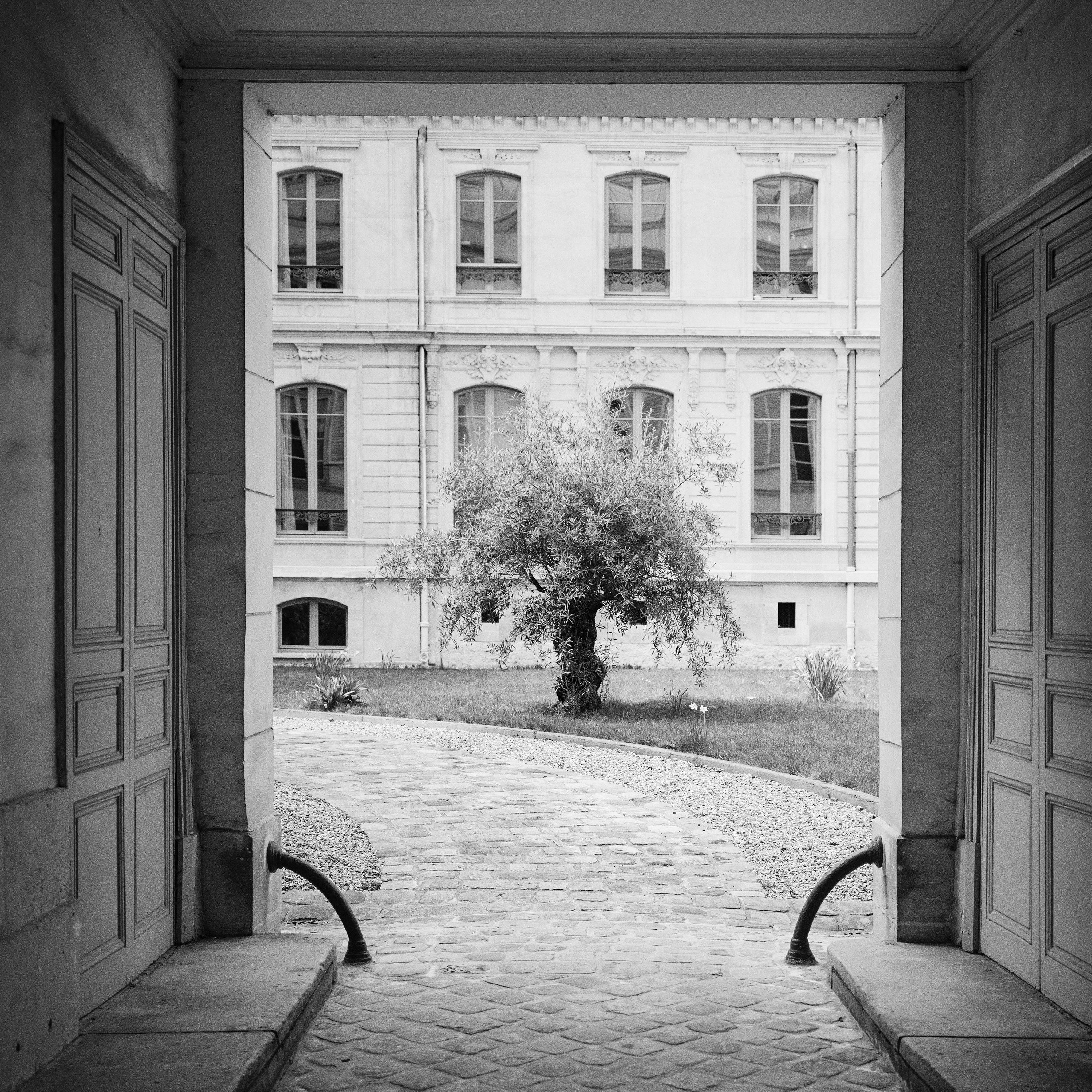 Baum in the Courtyard Paris Schwarz-Weiß-Fotografie der bildenden Kunst im Angebot 4