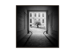 Tree in the Courtyard, Paris, black and white photography, cityscape, limited