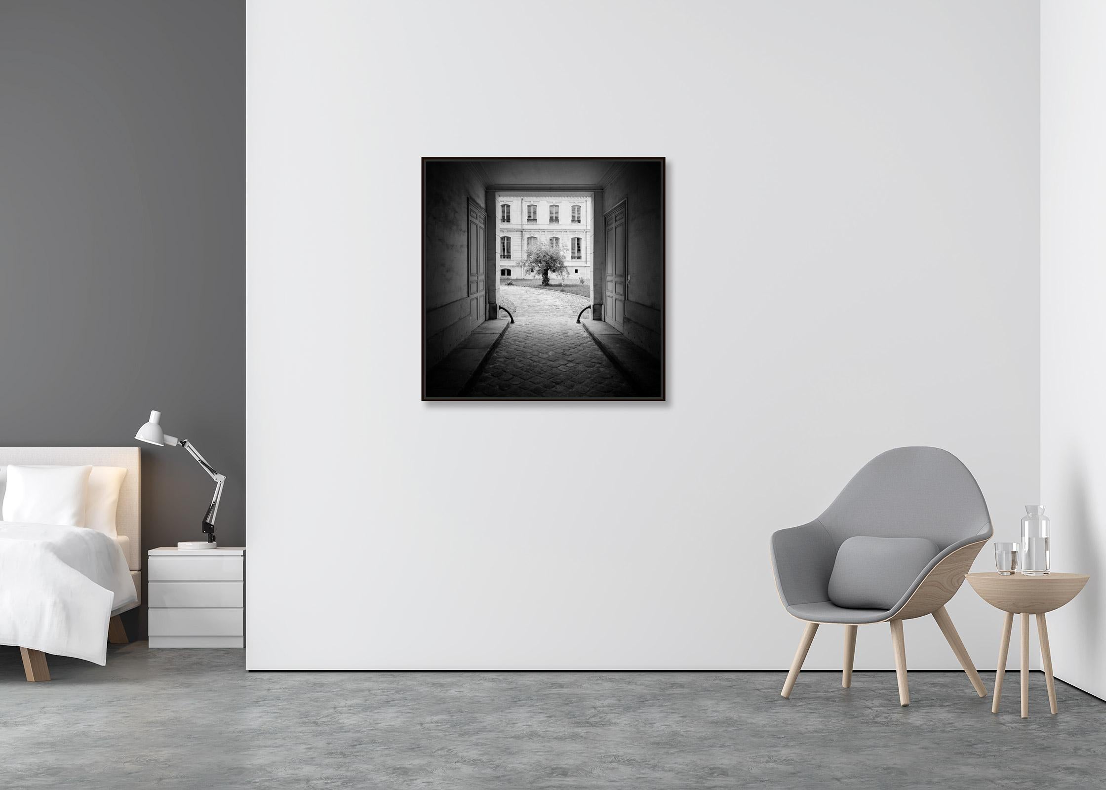 Tree in the Courtyard Paris black white fine art cityscape photography print - Contemporary Photograph by Gerald Berghammer, Ina Forstinger