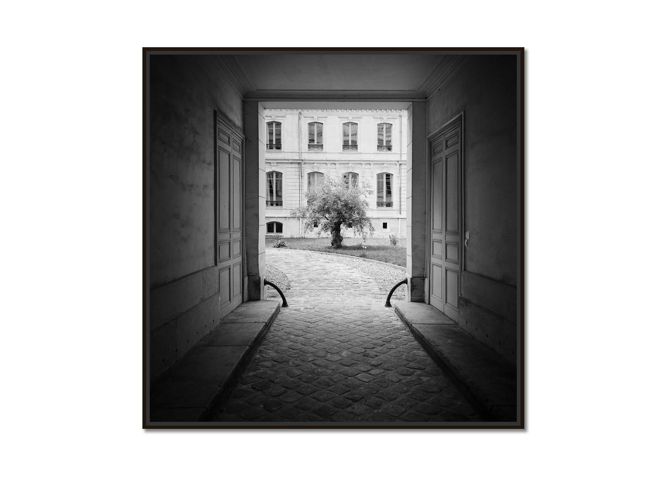 Tree in the Courtyard, Paris, France, black and white photography, landscape - Photograph by Gerald Berghammer, Ina Forstinger