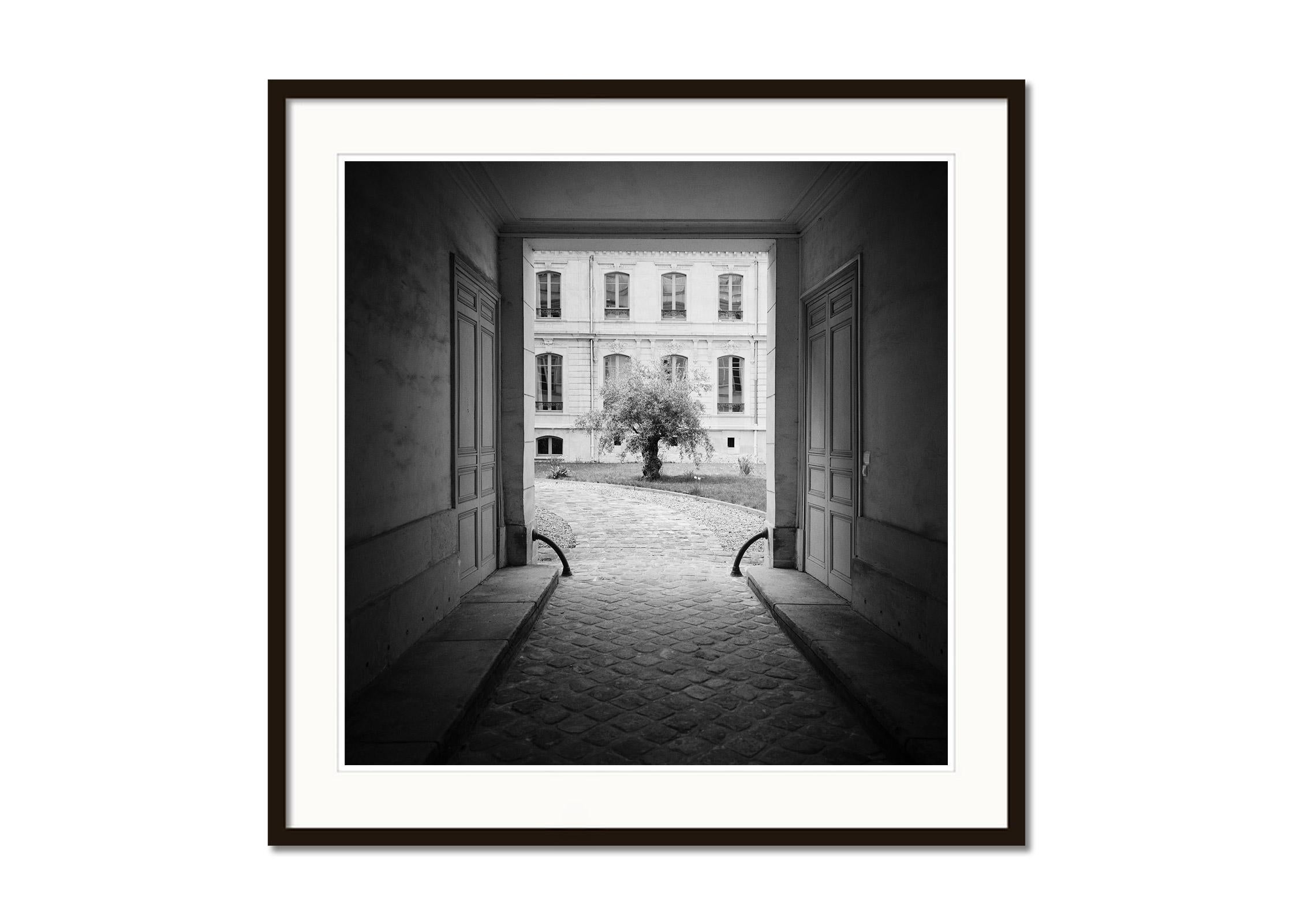 Tree in the Courtyard, Paris, France, black and white photography, landscape - Black Black and White Photograph by Gerald Berghammer, Ina Forstinger