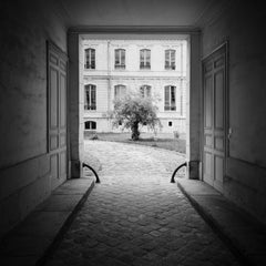 Tree in the Courtyard, Paris, France, black and white photography, landscape