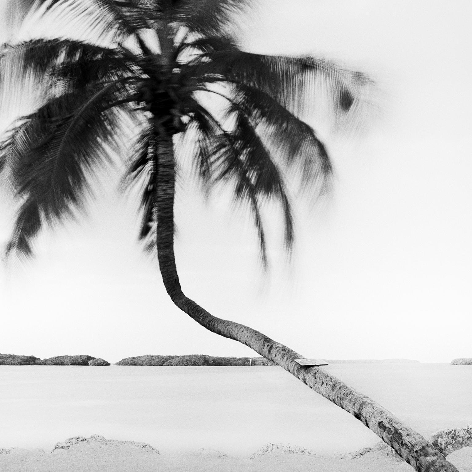 Bent Palm, Beach, Florida, USA, Schwarz-Weiß-Fotografie, Landschaft – Photograph von Gerald Berghammer