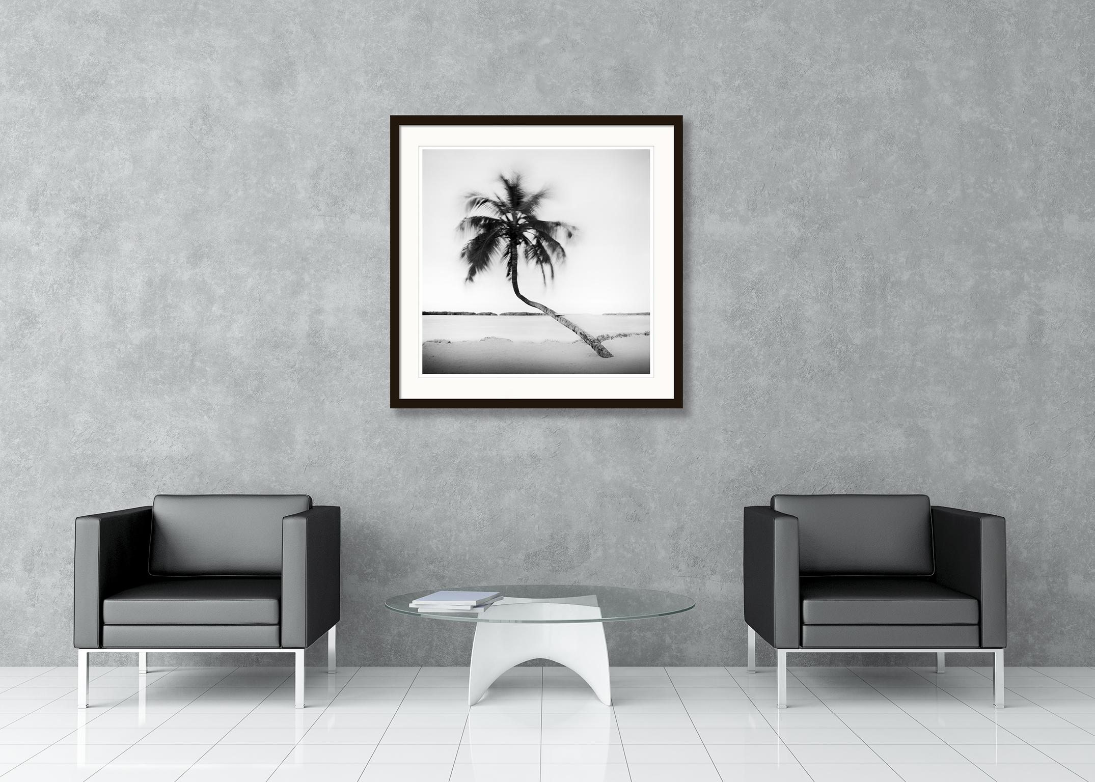 Bent Palm, Beach, Florida, USA, Schwarz-Weiß-Fotografie, Landschaft im Angebot 1