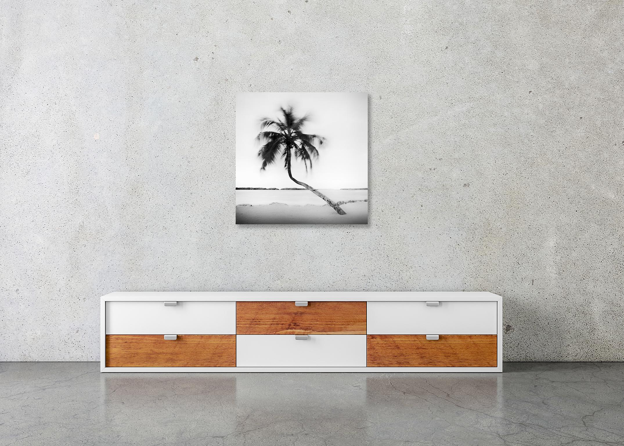 Bent Palm, Beach, Florida, USA, Schwarz-Weiß-Fotografie, Landschaft im Angebot 2
