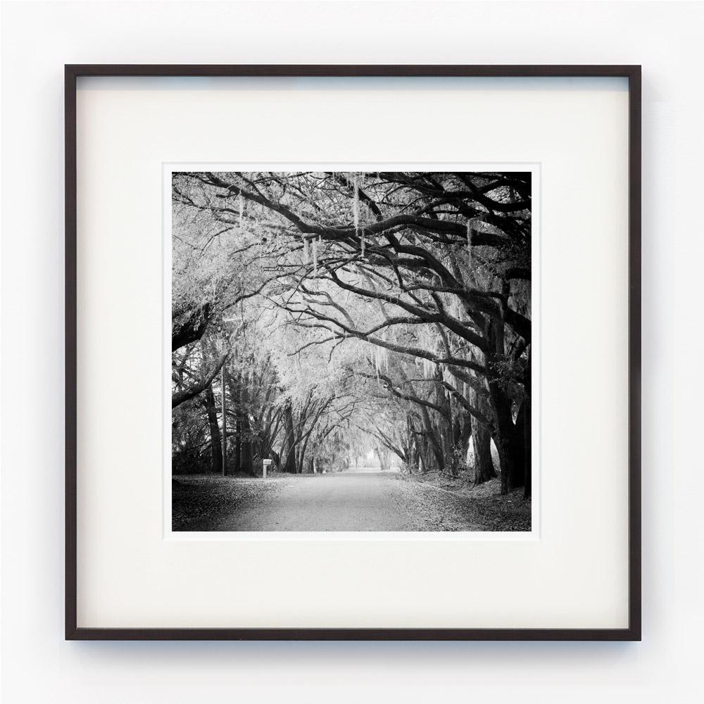 10 Landscape Set, fotografia in bianco e nero, con cornice, in edizione limitata 7