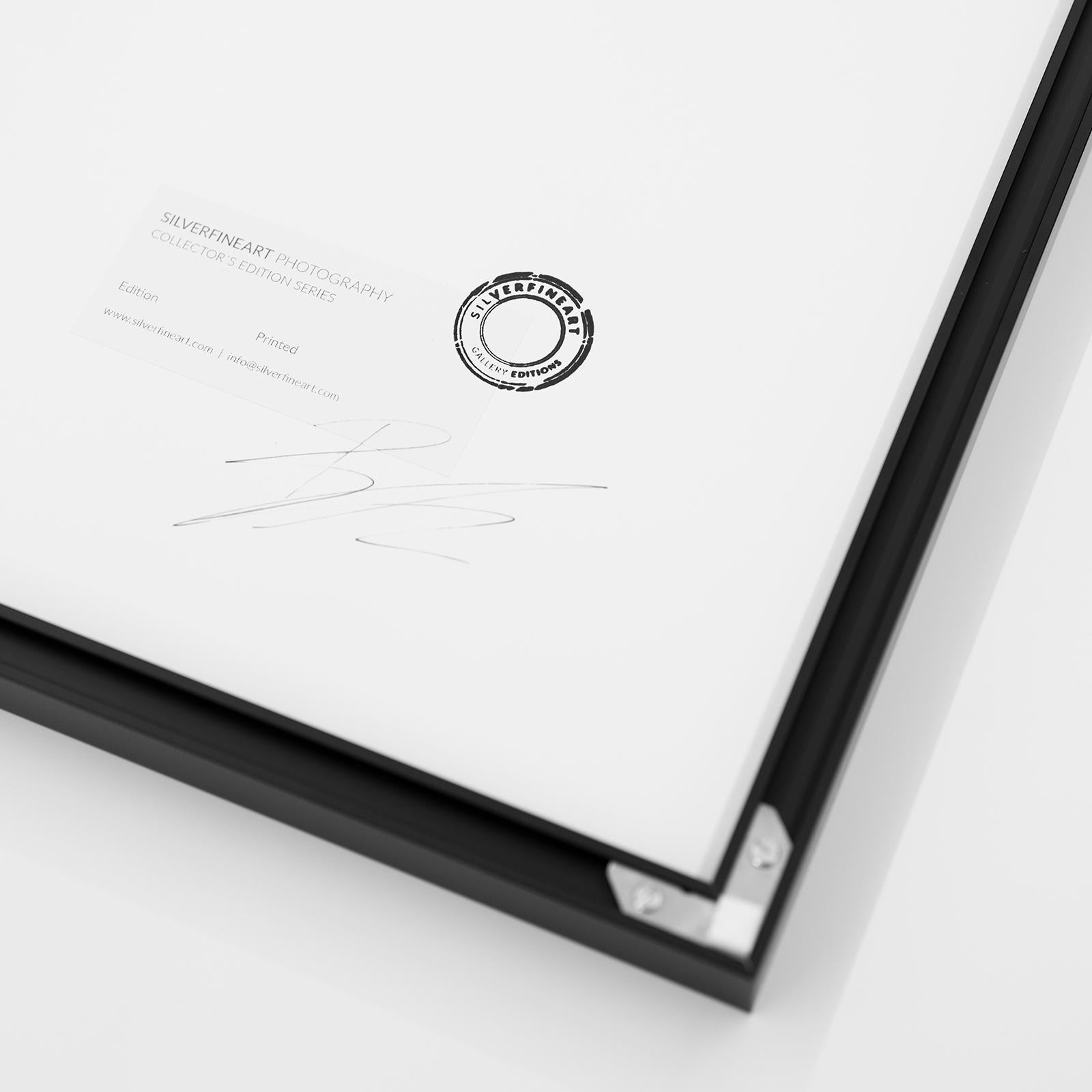 10 Landscape Set, fotografia in bianco e nero, con cornice, in edizione limitata 10