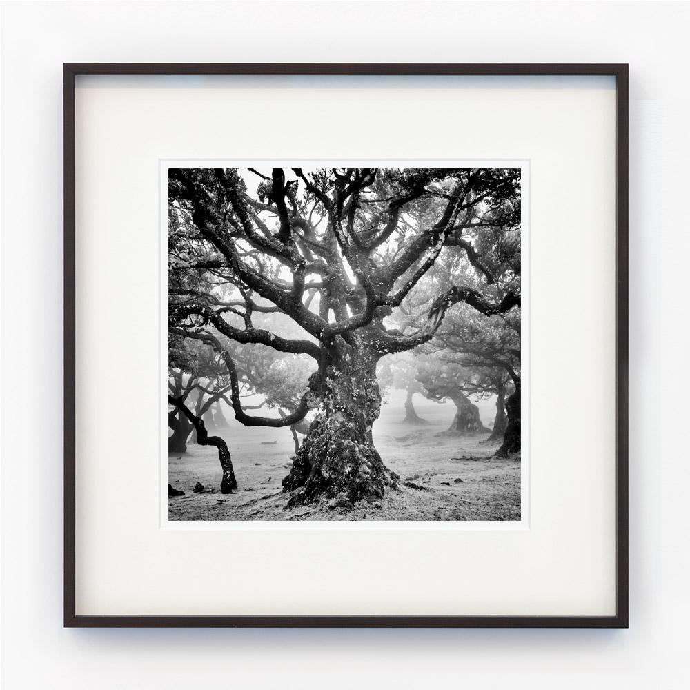 10 Landscape Set, fotografia in bianco e nero, con cornice, in edizione limitata 3