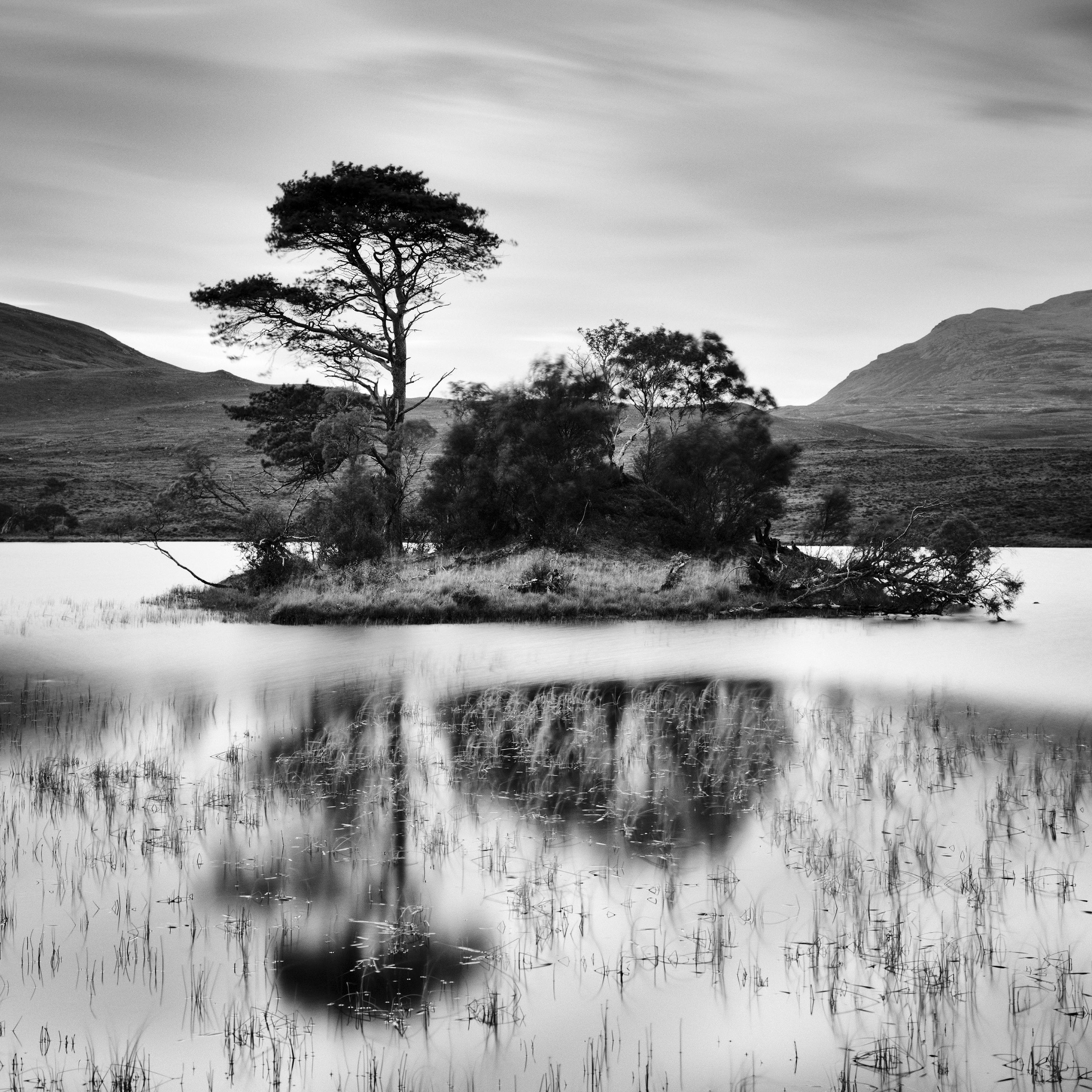 Nach dem Sonnenuntergang, Baum, Insel, Schottland, Schwarz-Weiß-Landschaftsfotografie im Angebot 3