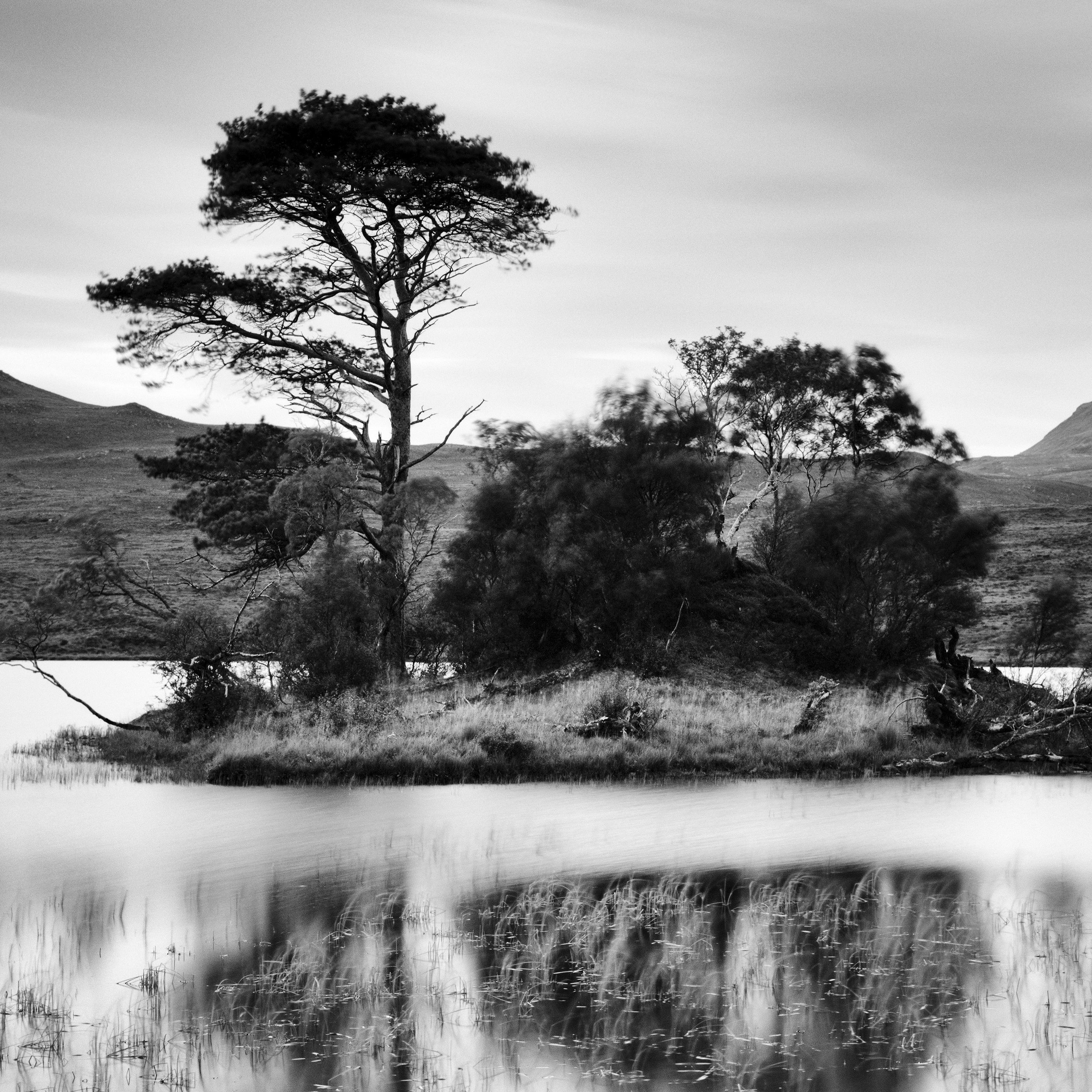 Nach dem Sonnenuntergang, Baum, Insel, Schottland, Schwarz-Weiß-Landschaftsfotografie im Angebot 4