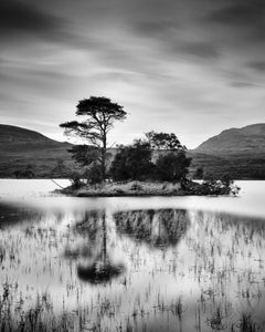 Nach dem Sonnenuntergang, Baum, Insel, Schottland, Schwarz-Weiß-Landschaftsfotografie