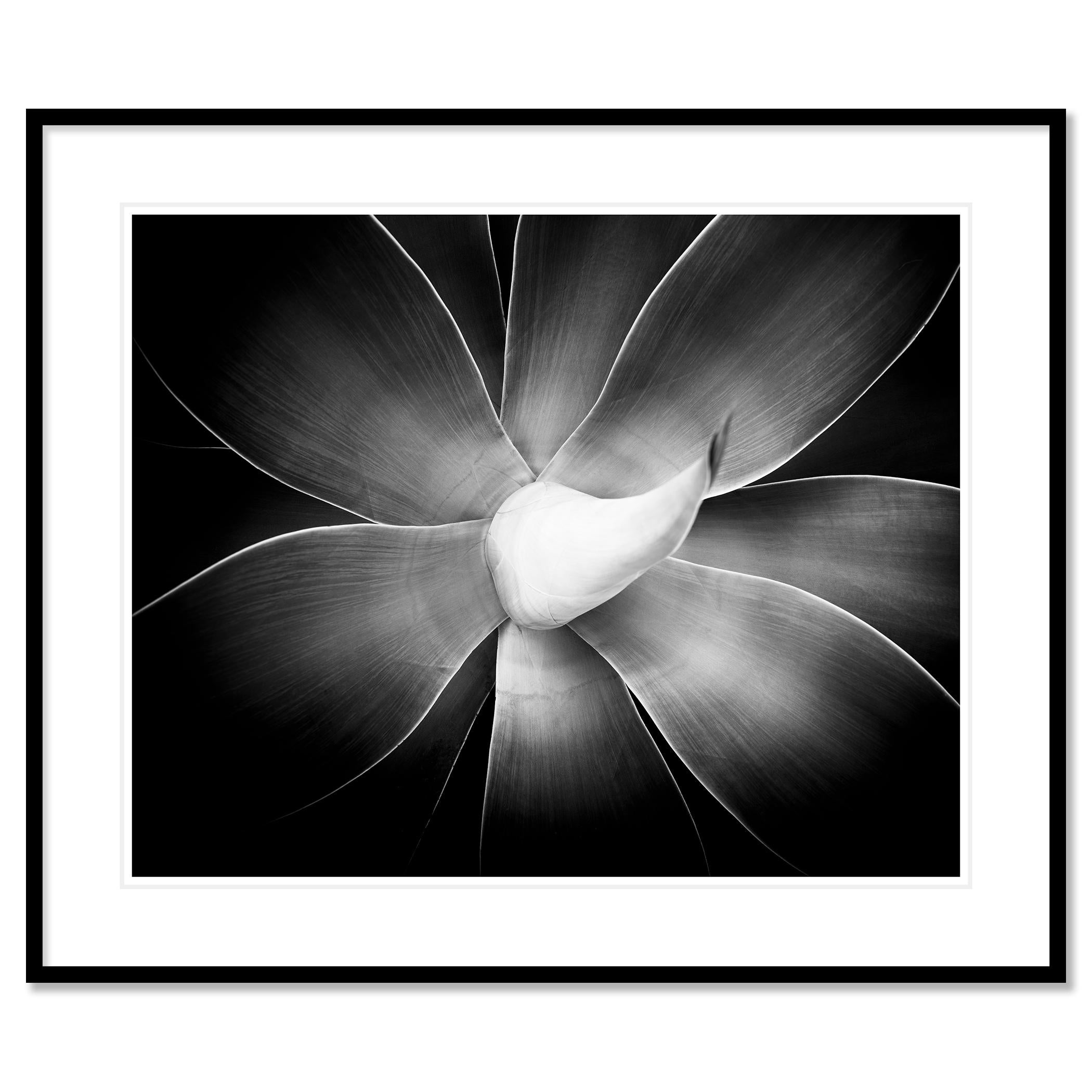 Black and white fine art landscape photography. Archival pigment ink print, edition of 7. Signed, titled, dated and numbered by artist. Certificate of authenticity included. Printed with 4cm white border.
International award winner photographer