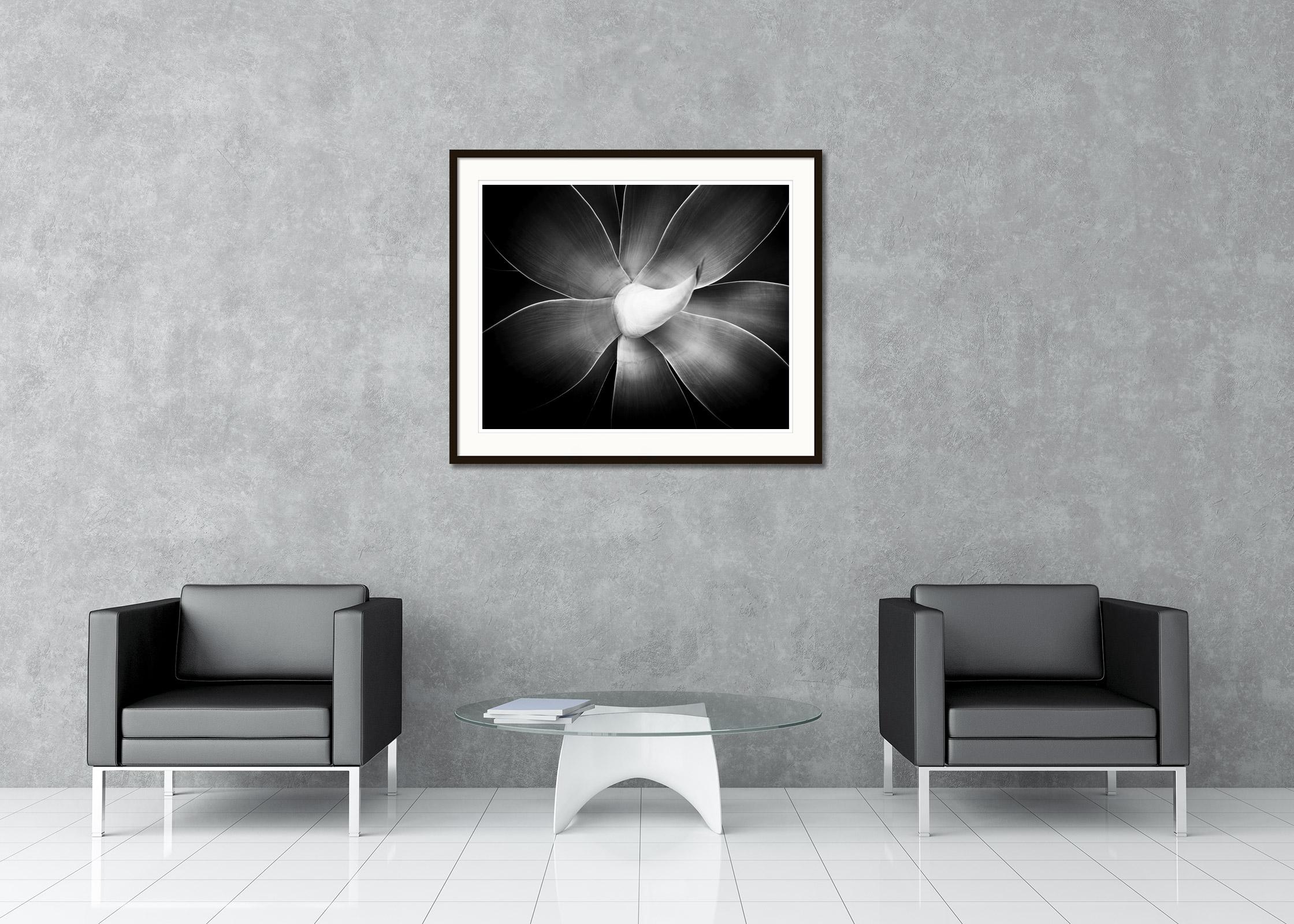 Black and White Fine Art Photography. Archival pigment ink print, edition of 8. Signed, titled, dated and numbered by artist. Certificate of authenticity included. Printed with 4cm white border.
International award winner photographer Gerald