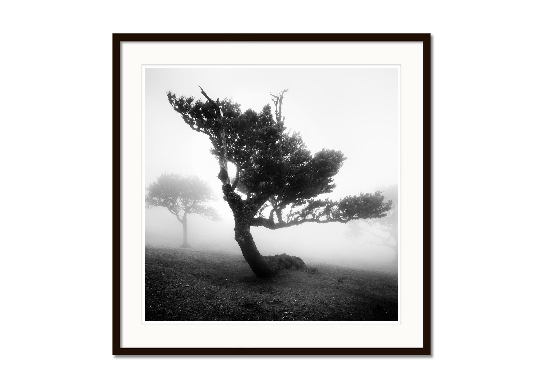 Black and white fine art landscape photography. Archival pigment ink print, edition of 7. Signed, titled, dated and numbered by artist. Certificate of authenticity included. Printed with 4cm white border.
International award winner photographer