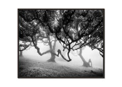 Ancienne Black Forest - photographie de paysage en noir et blanc - limited art