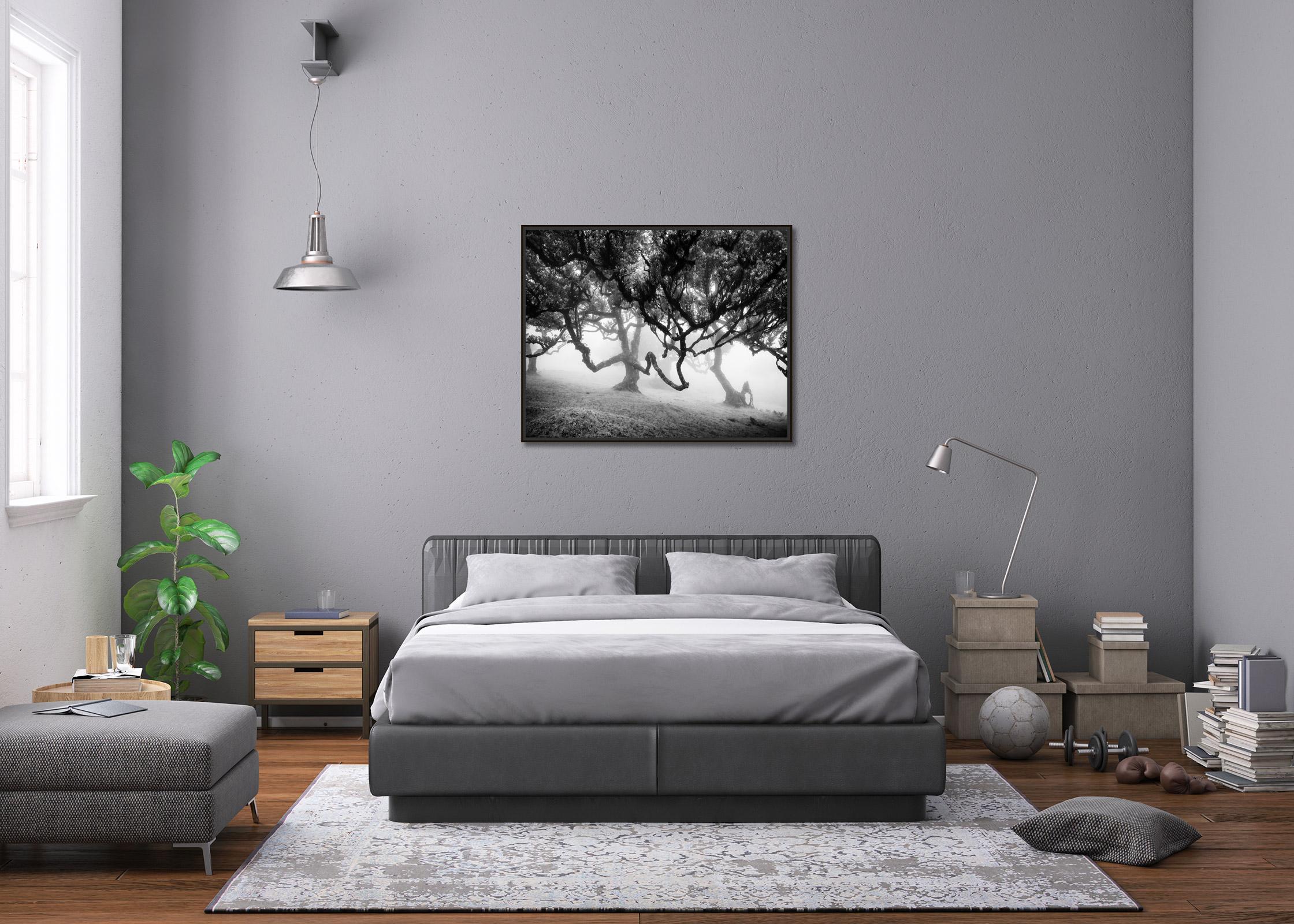 Ancient Laurisilva, enchanted Forest, Madeira, black and white landscape photo For Sale 2