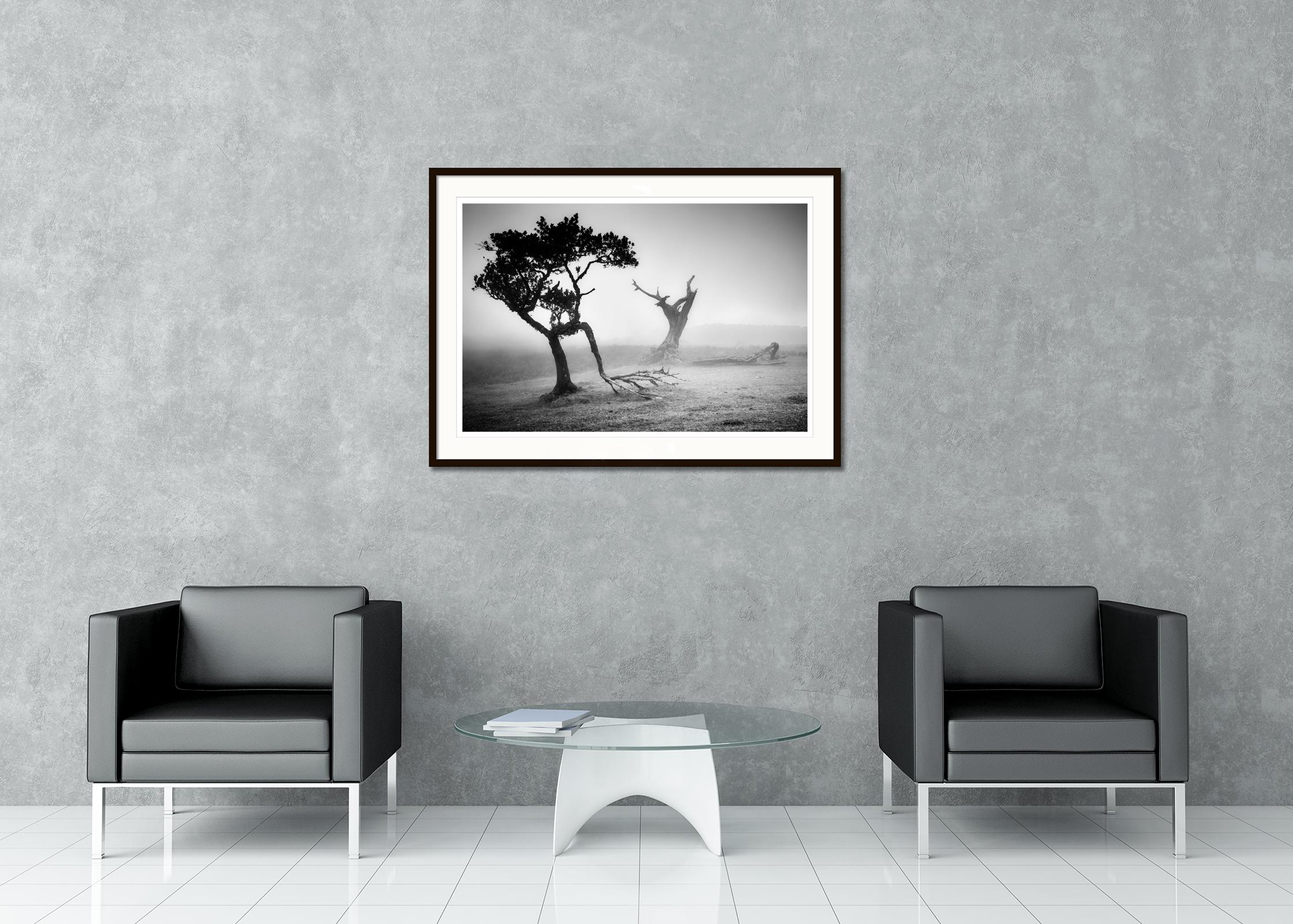 Black and white fine art panorama landscape photography. Mystical Trees in Fairy Forest in fog, Madeira, Portugal. Archival pigment ink print, edition of 7. Signed, titled, dated and numbered by artist. Certificate of authenticity included. Printed